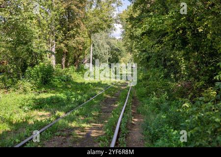 Lange leere Straßenbahnschienen, die durch den Wald in Kiew, Ukraine, führen. Stockfoto