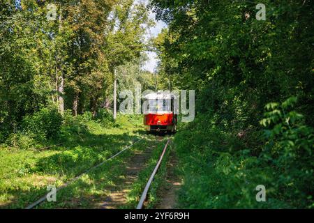 Lange Straßenbahnschienen durch den Wald in Kiew, Ukraine. Stockfoto