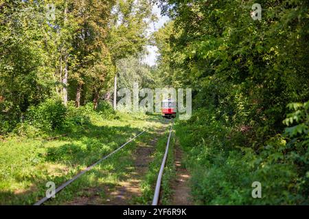 Lange Straßenbahnschienen durch den Wald in Kiew, Ukraine. Stockfoto