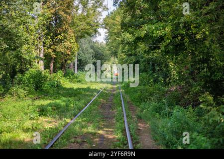 Lange Straßenbahnschienen durch den Wald in Kiew, Ukraine. Stockfoto