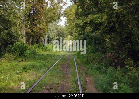 Lange Straßenbahnschienen durch den Wald in Kiew, Ukraine. Stockfoto