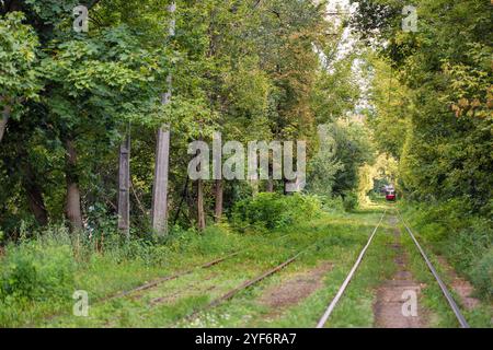 Lange Straßenbahnschienen durch den Wald in Kiew, Ukraine. Stockfoto