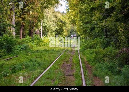 Lange Straßenbahnschienen durch den Wald in Kiew, Ukraine. Stockfoto