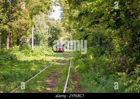 Lange Straßenbahnschienen durch den Wald in Kiew, Ukraine. Stockfoto