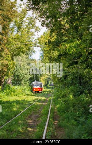 Lange Straßenbahnschienen durch den Wald in Kiew, Ukraine. Stockfoto