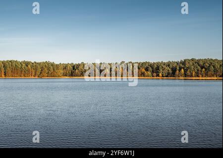 Kleiner Waldsee Ummis in Lilaste, Lettland am sonnigen Herbsttag Stockfoto