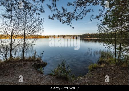 Kleiner Waldsee Ummis in Lilaste, Lettland am sonnigen Herbsttag Stockfoto