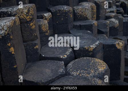 Nahaufnahme von sechseckigen Basaltsäulen am Giant's Causeway, Irland. Die natürlichen geometrischen Formen bilden ein markantes, kompliziertes Muster mit kontrastierenden Farben Stockfoto