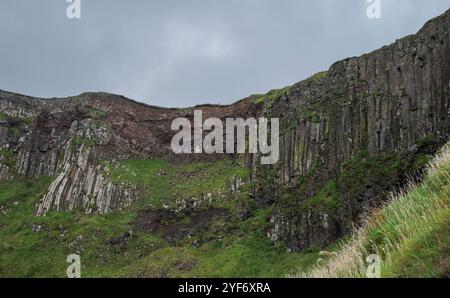 Eine Klippenwand am Giant's Causeway, Irland, mit hohen Basaltsäulen unter einem bedeckten Himmel, die natürliche geologische Formationen zeigen Stockfoto
