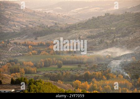 Landschaft eines Tals, das im Herbst mit Pappelbäumen bedeckt ist, mit goldenem Abendlicht in Castril, Granada, Andalusien, Spanien Stockfoto