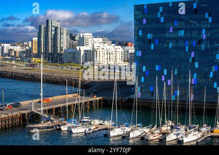 Reykjavik Hafen und viele kleine Fischerboote geparkt in der Marina vor Harpa Konzertsaal in Island. Stockfoto