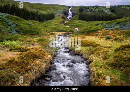 Tungudalur Wasserfall, Isafjordur, die größte Siedlung in den Westfjorden. Island, Westfjorde (Westfjorde). Bunárfoss ist ein Wasserfall auf dem t Stockfoto