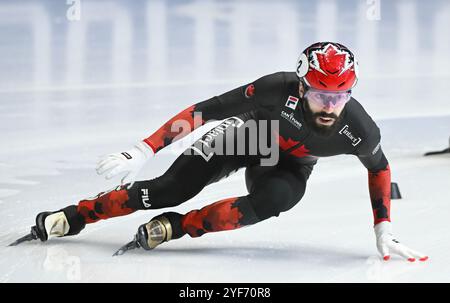 MONTREAL, QUÉBEC, KANADA: Der Kanadier Steven Dubois führt sein Team zum Sieg beim 2000 m langen Mixed Staffelfinale beim Short Track Speed Skating Event der ISU World Tour in Montreal, Sonntag, 3. November 2024. Foto Graham Hughes/Freelance Credit: Graham Hughes/Alamy Live News Stockfoto