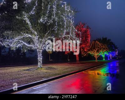 Jekyll Island's Holly Jolly Jekyll Christmas Celebration, Jekyll Island, Georgia, USA Stockfoto