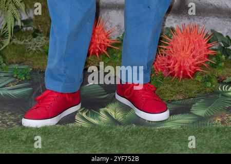 London, Großbritannien. 3. November 2024. Hugh Bonneville besucht die Paddington in Peru World Premiere Arrivals am Leicester Square, 2024 in London, England, Großbritannien. Quelle: S.A.M./Alamy Live News Stockfoto