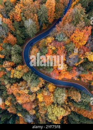 Aus der Vogelperspektive von Autos, die auf einer Straße fahren, die sich durch einen Herbstwald schlängelt, Salzburg, Österreich Stockfoto