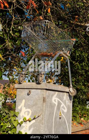 Verlassenes Metall, Einkaufswagen, Trolley, Sammlung, Service, Trolley, Hindernis, Wasserlauf, Fliegenspitze, Gefahr, Trolley-Tracker, Griff. Stockfoto