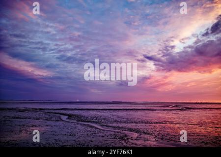 Violetter Sonnenuntergang über dem Dollart bei Ebbe, Ostfriesland, Niedersachsen, Deutschland Stockfoto