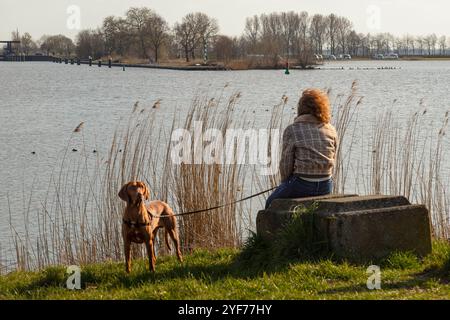 Frau mit Hund sitzt auf einem großen Stein am Ufer und schaut auf das fließende Wasser. Stockfoto