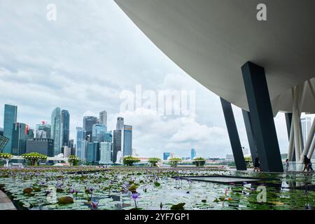 Singapur - 14. August 2024: Futuristische Architektur Lotus-förmiges Design des Art Science Museums vor Marina Bay Sands Stockfoto