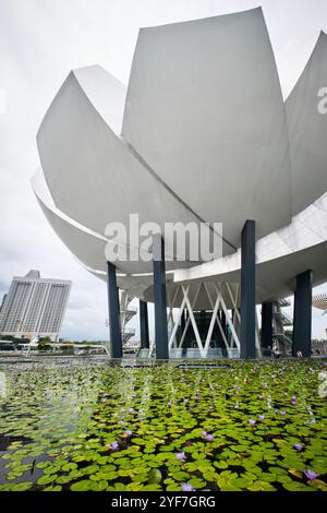 Singapur - 14. August 2024: Futuristische Architektur Lotus-förmiges Design des Art Science Museums vor Marina Bay Sands Stockfoto