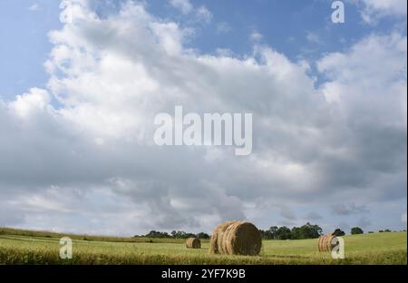 Sturmwolken sammeln sich über dem Feld und runden Heuballen. Field ist in Tennessee. Stockfoto