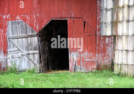 Doppeltüren zu einer roten, hölzernen Scheune, offen stehen. Holz ist verwittert und verblasst. Silo steht neben der Scheune. Stockfoto