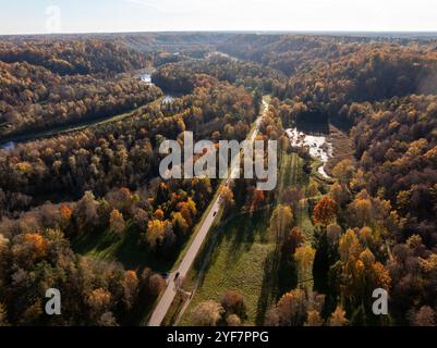 Eine Luftaufnahme zeigt einen sich windenden Fluss und eine Straße durch einen dichten Wald in Sigulda, Lettland. Bäume zeigen leuchtende Herbstfarben, auf denen Fahrzeuge sichtbar sind Stockfoto