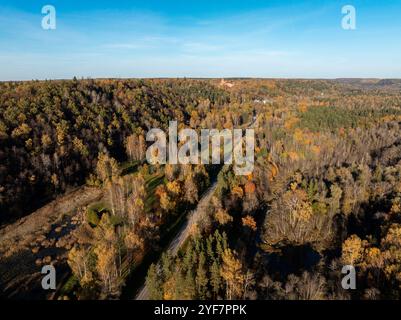 Ein dichter Wald in Sigulda, Lettland, zeigt lebhaftes Herbstlaub. Eine gewundene Straße führt zu einer fernen Burg unter einem klaren blauen Himmel, was die Szene noch schöner macht. Stockfoto
