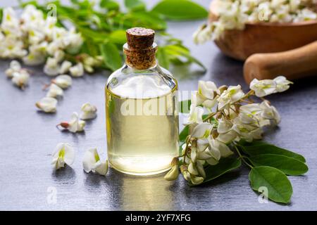 Robinia (falsche Akazie) ätherisches Öl (Heilmittel, Extrakt) Flasche mit frischen Akazienblüten Stockfoto