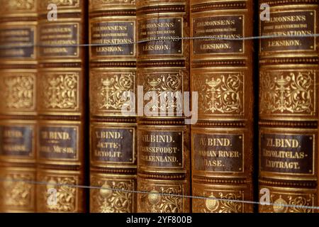 Alte Bücher in Leder gebunden mit Goldfolie geprägt (Library, Wrest House, Wrest Park, Bedfordshire, England) Stockfoto