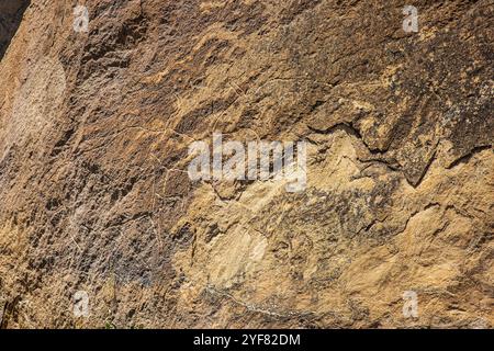 Büffel, gemalt in Mezolit auf Felsen (5.000-000 Jahre alt) im Gobustan State Historical and Cultural Reserve, Aserbaidschan Stockfoto