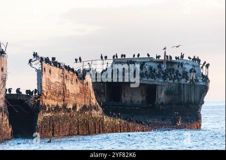 Nahaufnahme der SS Palo Alto, ein altes Schiffswrack aus dem Zweiten Weltkrieg bei Sonnenuntergang, vor der Küste von Aptos, in der Nähe von seacliff Beach, Californa Stockfoto