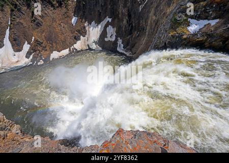 Die Lower Yellowstone Falls stürzen über den Brink im Yellowstone National Park in Wyoming Stockfoto