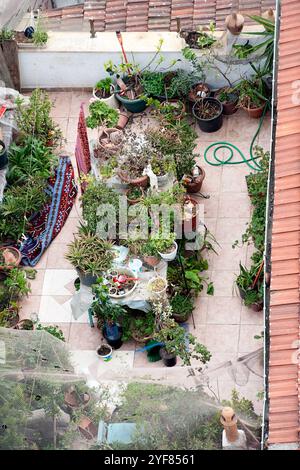 Blick aus der Vogelperspektive auf einen gemütlichen Dachgarten mit einer Auswahl an Topfpflanzen, Gartenwerkzeugen und einem farbenfrohen Teppich, der eine lebhafte urbane Oase schafft. Stockfoto