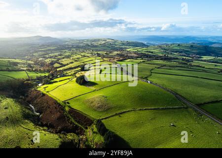 Farmen über Black Mountain von einer Drohne aus, Brecon Beacons National Park, Carmarthenshire, Wales, England Stockfoto