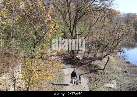 Blick von oben auf einen Mann, der seinen Hund im Herbst auf dem des Plaines River Trail am Ufer des Plaines River in Park Ridge, Illinois, führt Stockfoto