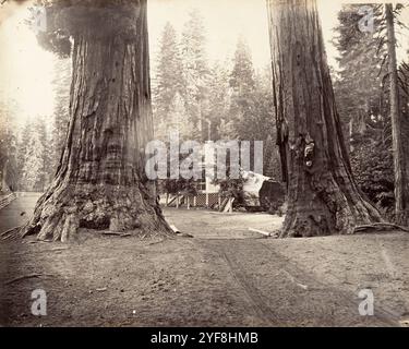 The Sentinels, Yosemite, fotografiert von Carleton Watkins im Jahr 1872. Er war ein Pionier der großformatigen Landschaftsfotografie mit einer riesigen Kamera, die 18x22 Zoll Glasnegative verwendete. Sein Lieblingslokal war Yosemite Vallley in Califonia und seine Fotos vom Tal waren ein wichtiger Faktor bei der Entscheidung der US-Regierung, es als Nationalpark zu erhalten. Stockfoto