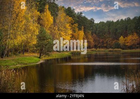 Ruhige Herbstszene mit leuchtendem gelb-orangenem Laub, das sich in einem stillen See spiegelt, eingerahmt von einem Wald unter einem bewölkten Himmel. Perfekt für Natu Stockfoto