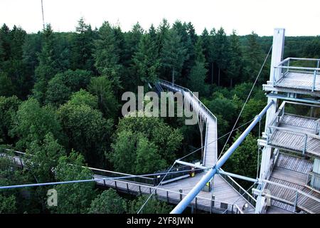 Mettlach, Deutschland - 27. Juni 2021: Hölzerner Wanderweg von oben bei Baumkronenwanderung an der Saarschleife an einem sonnigen Frühlingnachmittag in Deutschland. Stockfoto