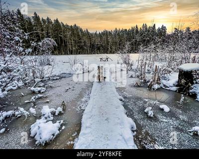 Eine winterliche Wunderlandschaft mit einem gefrorenen See, einer Holzbrücke und einem australischen Schäferhund. Die friedliche, idyllische Lage wird durch das ergänzt Stockfoto