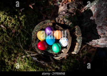 Schließen Sie farbenfrohe Ostereier in einem Moos- und Waldhintergrund. Frohe Osterferien Jagd. Stockfoto