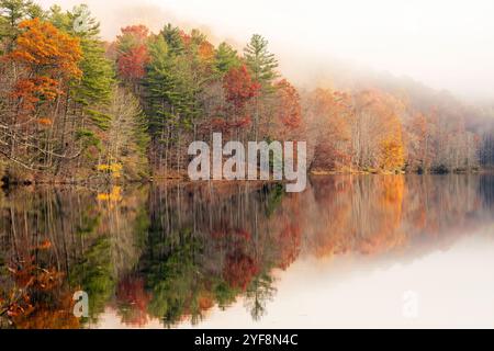 Nebliger Herbstmorgen am Lake Julia, DuPont State Recreational Forest - Cedar Mountain, North Carolina, USA Stockfoto