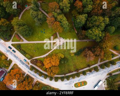 Blick aus der Luft auf das Laubwerk des ländlichen Dorfes Stockfoto