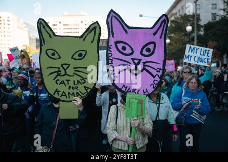 Washington, Usa. November 2024. (Foto: Candice Tang/SOPA Images/SIPA USA) Credit: SIPA USA/Alamy Live News Stockfoto