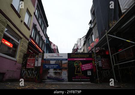 Hamburg, Deutschland. November 2024. Blick von der Davidstraße auf den Privatbildschirm am östlichen Eingang zur Herbertstraße im Stadtteil St. Pauli. Der aufgeführte Datenschutzbildschirm auf der Ostseite wird vollständig durch ein neues Gate-System ersetzt. Seit mehr als 100 Jahren sitzen Prostituierte auf Hockern hinter der berühmten Leinwand in Kober-Fenstern, präsentieren sich und warten auf Kunden oder sprechen mit männlichen Passanten bei geöffnetem Fenster. Quelle: Marcus Brandt/dpa/Alamy Live News Stockfoto