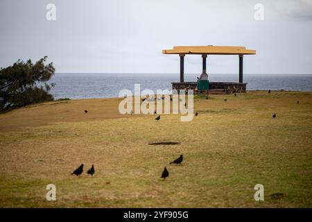 Gris Gris La plage de Gris se trouve près de Souillac, dans la partie la plus méridionale de l’île. Stockfoto