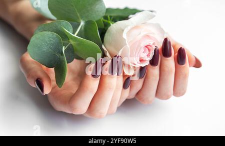 Zarte Hände mit dunklen, burgunderroten Nägeln schmiegen sanft eine weiche rosa Rose und schaffen einen schönen Kontrast vor einem hellen Hintergrund, der Eleganz symbolisiert Stockfoto