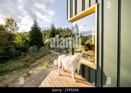 Spielerischer Moment durch das Fenster mit Hund Stockfoto