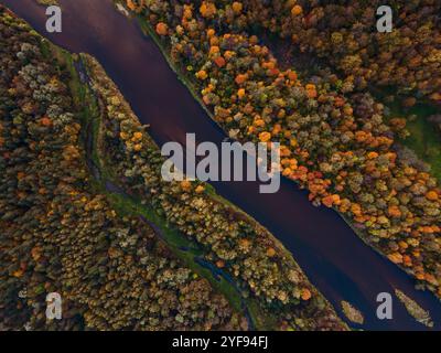 Aus der Vogelperspektive eines sich windenden Flusses, der durch einen lebhaften Herbstwald fließt, mit einer Palette von Herbstfarben, die sich in der Wasseroberfläche widerspiegeln Stockfoto